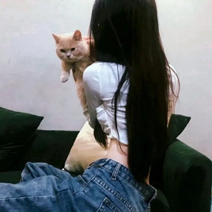 优质杀手